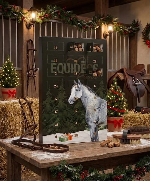 calendrier de l'avent étui petfood gourmandises cheval